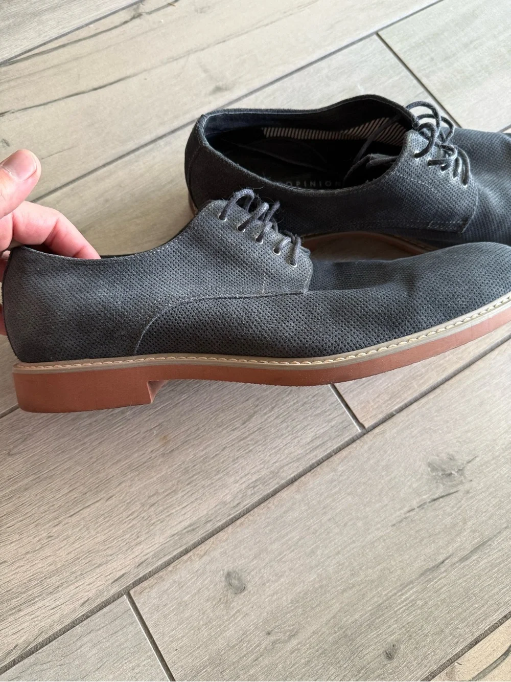 public opinion versatile grey